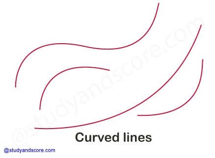 horizontal line, vertical line, skew line, intersecting line, transversal line, straight line, derivatives of straight line, oblique line, curved line, parallel line, perpendicular line