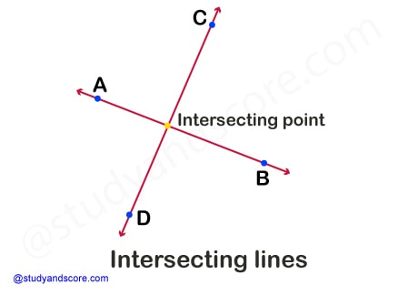 horizontal line, vertical line, skew line, intersecting line, transversal line, straight line, derivatives of straight line, oblique line, curved line, parallel line, perpendicular line