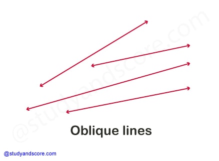 horizontal line, vertical line, skew line, intersecting line, transversal line, straight line, derivatives of straight line, oblique line, curved line, parallel line, perpendicular line