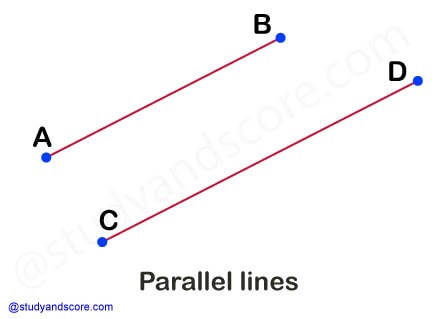 horizontal line, vertical line, skew line, intersecting line, transversal line, straight line, derivatives of straight line, oblique line, curved line, parallel line, perpendicular line