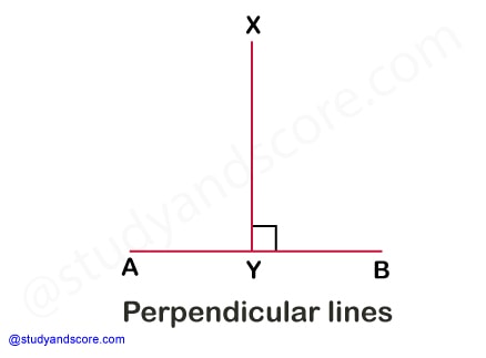 horizontal line, vertical line, skew line, intersecting line, transversal line, straight line, derivatives of straight line, oblique line, curved line, parallel line, perpendicular line