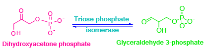 Glycolysis, aerobic reactions, anaerobic reactions, metabolism, glycolysis steps