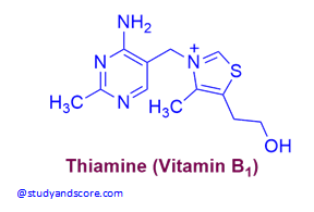 Vitamin B1 Sources Deficiency Function Absorption