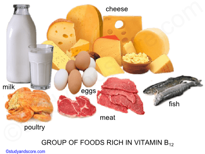 Vitamin B12 Sources Deficiency Function Absorption Study Score
