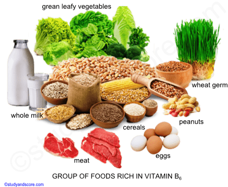 Vitamin B6, Sources, Deficiency, Function, absorption | Study&Score