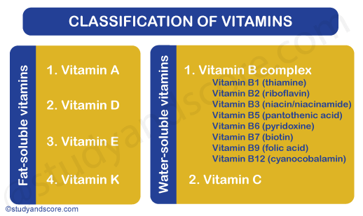 Những rủi ro khi sử dụng Vitamin B quá liều