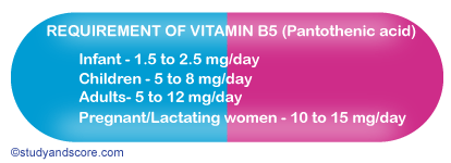 Vitamin B5 Sources Deficiency Function Absorption